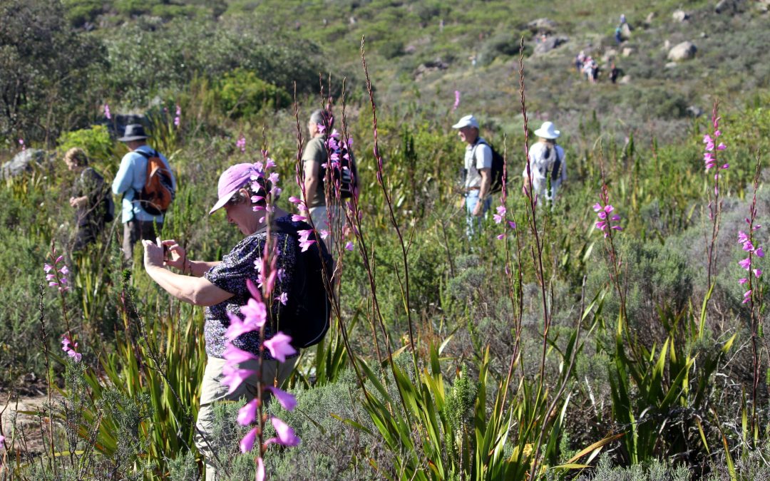 MOOIPLAAS GUIDED HIKE (Saturday, 2 November)