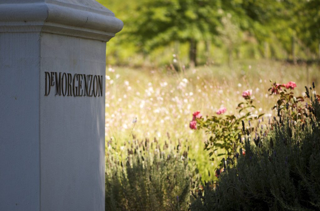 DE MORGENZON OPEN GARDEN (25 October – 3 November)