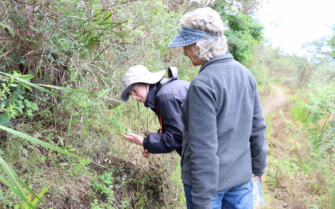 DISCOVER RENOSTERVELD WALK AND TALK (Tuesday, 29 October)